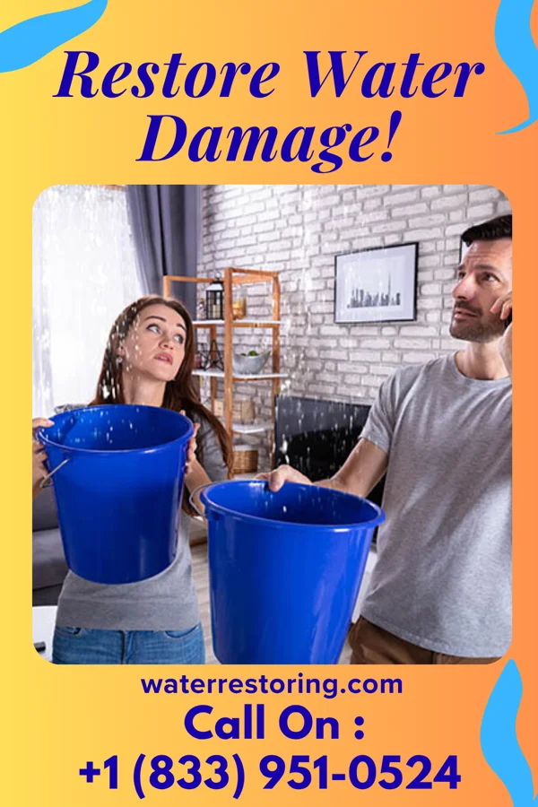 water restoration Guardian Disaster Cleanup Co Alberton