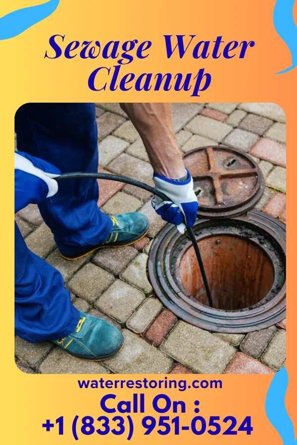 Sewage Water Cleanup in Alberton, MT